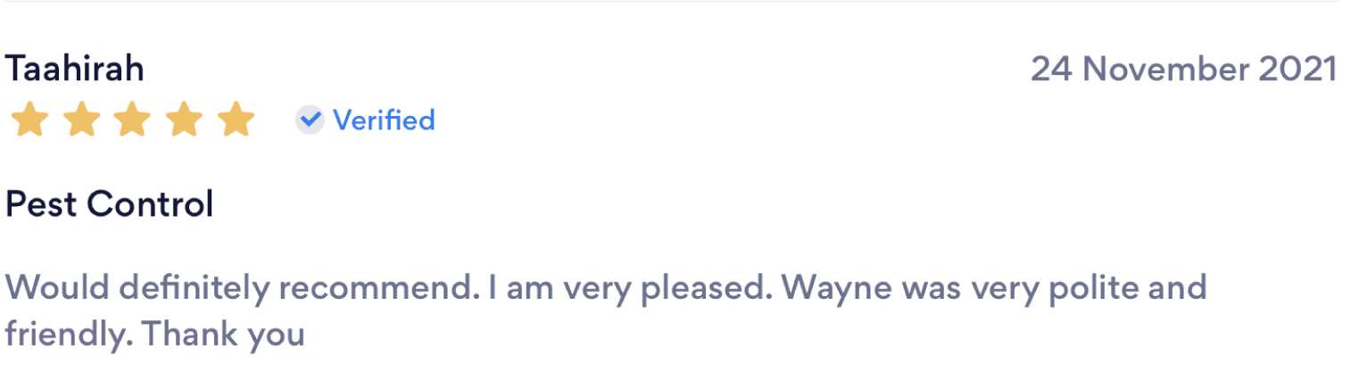 Reviews-03